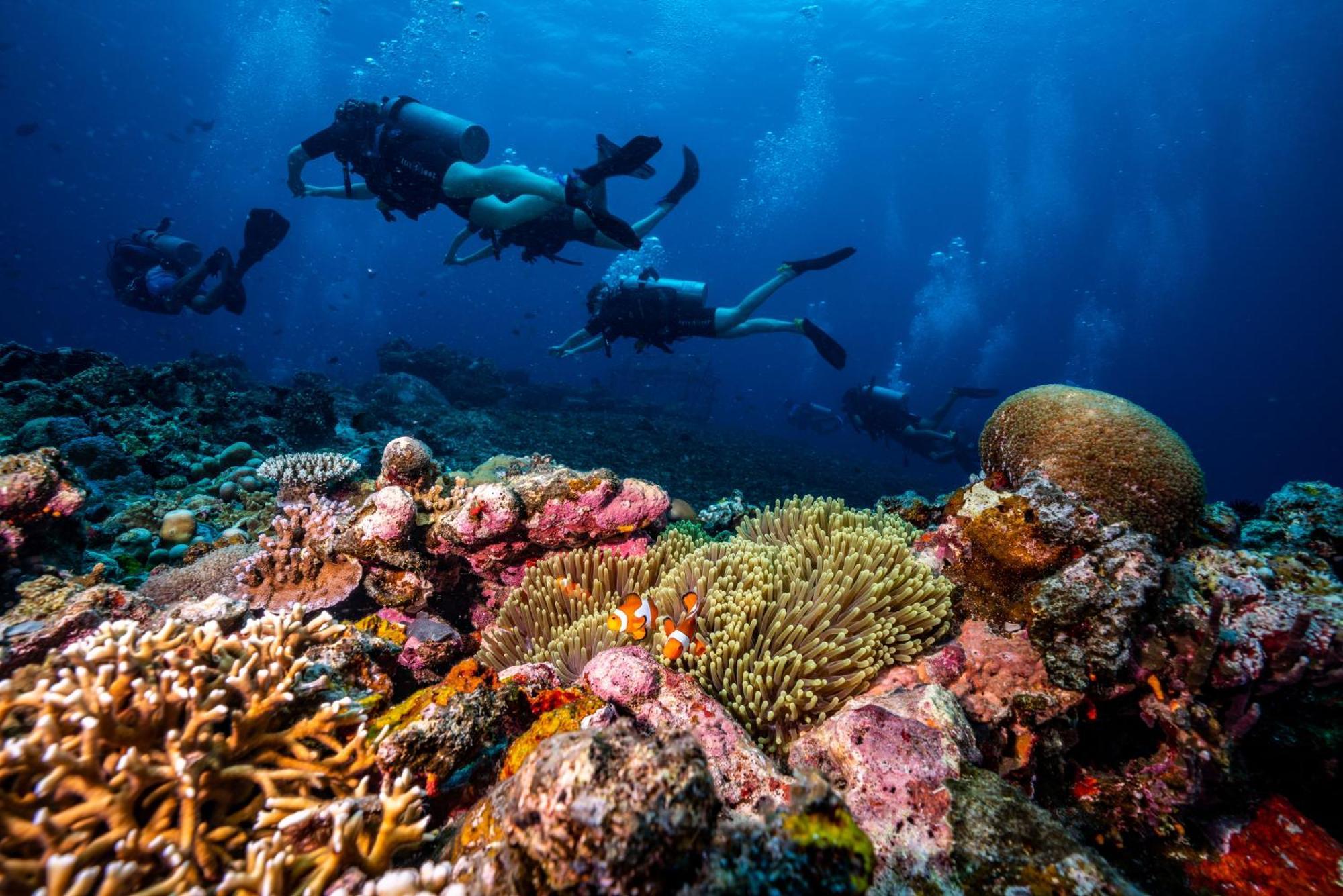 Trawangan Dive Resort Джили Трауанган Екстериор снимка
